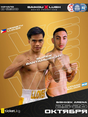 ボクシングイベント: 村田 vs ブラント 2 ・非売品。 ボクシングイベント: 村田 vs ブラント 2 ・非売品。